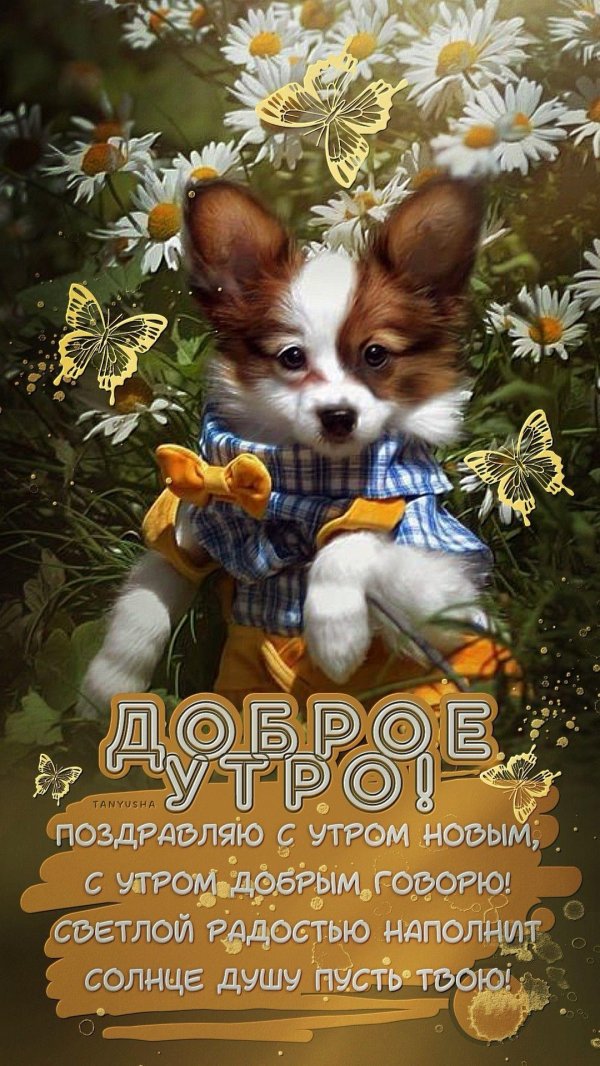 интересные пожелания с добрым утром