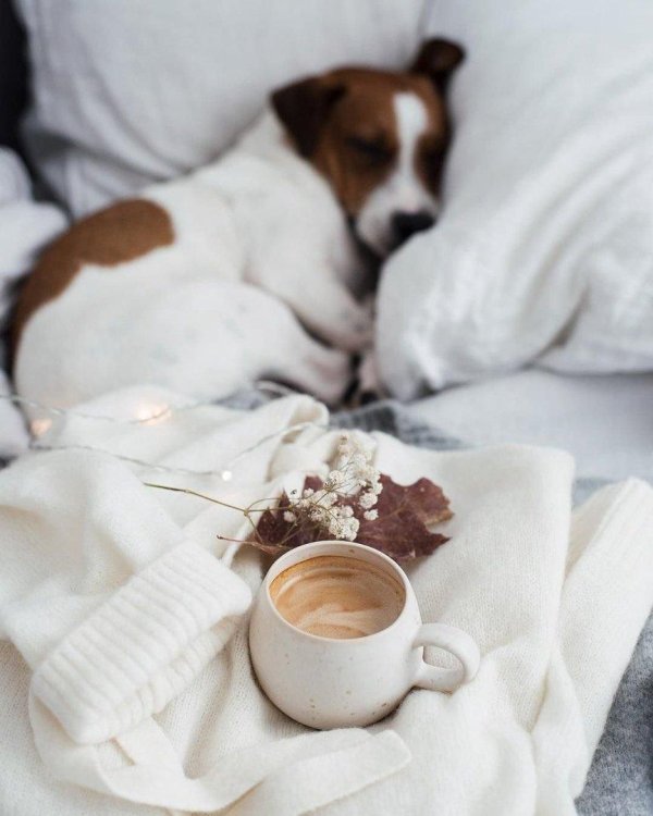 утреннее настроение