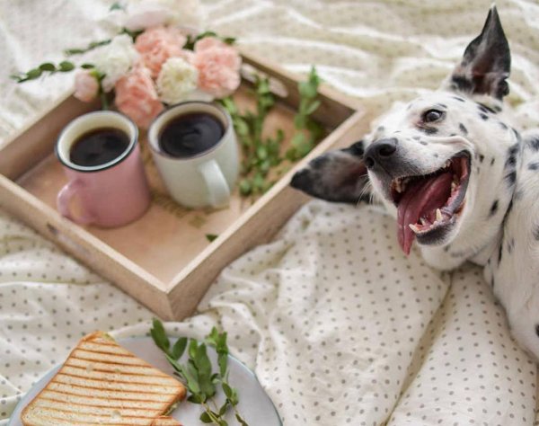 утро четверга