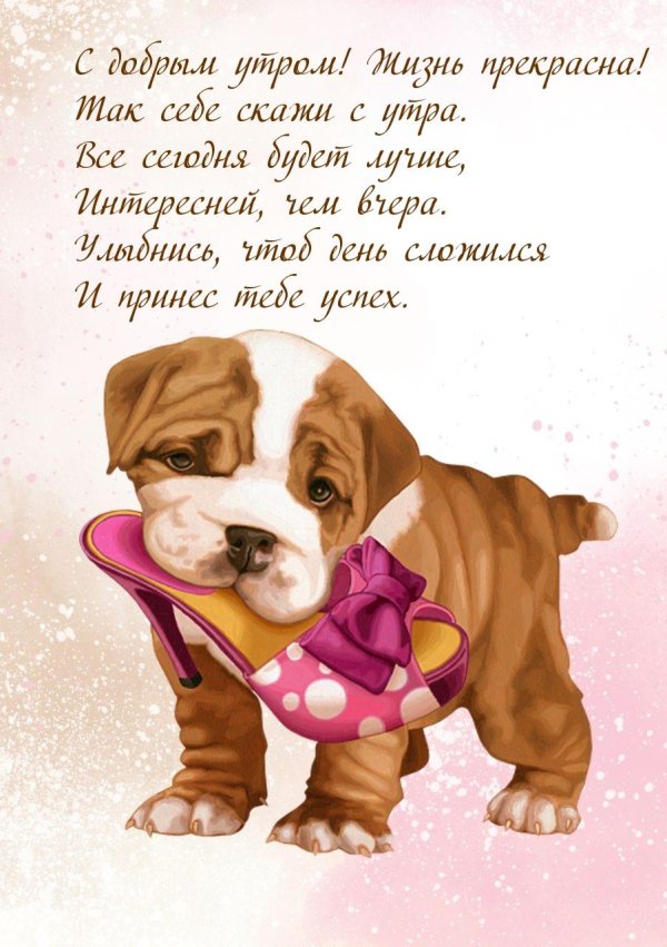 поздравительные открытки с собаками