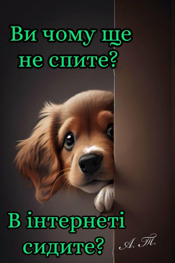 собачка милая