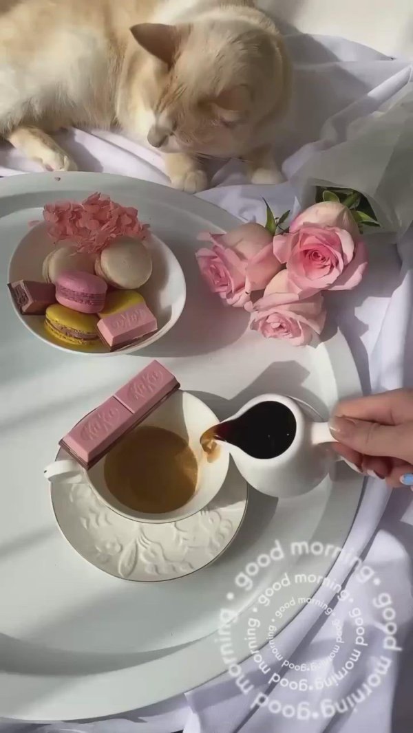 утренние завтраки