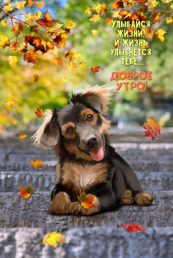 доброго утра осени