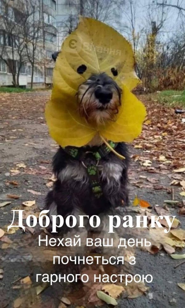 веселая осень