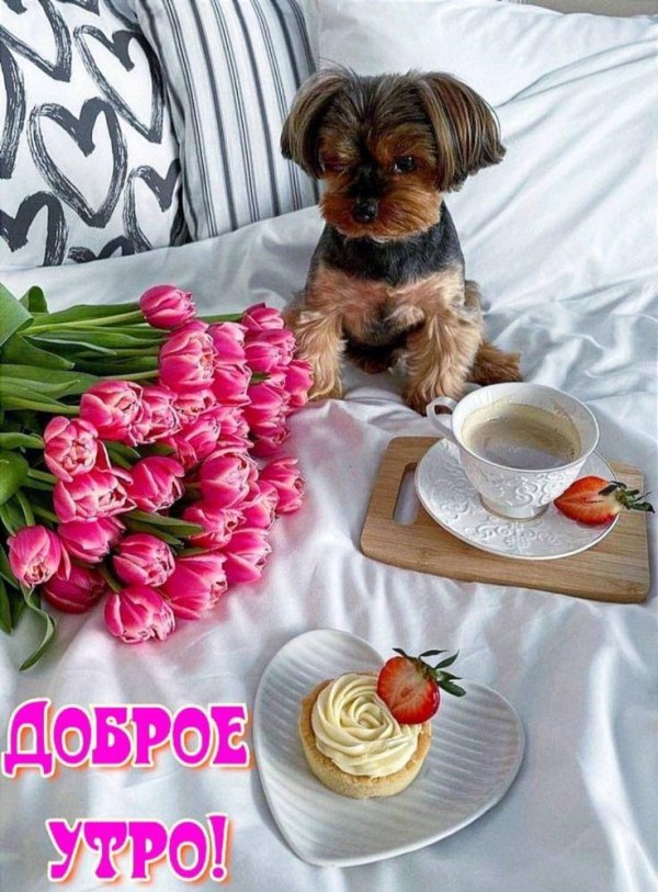 доброе утро и отличного настроения