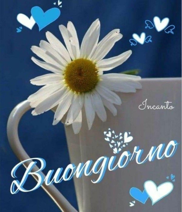 buongiorno buonanotte
