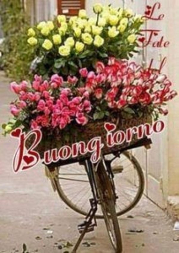 велосипед цветы