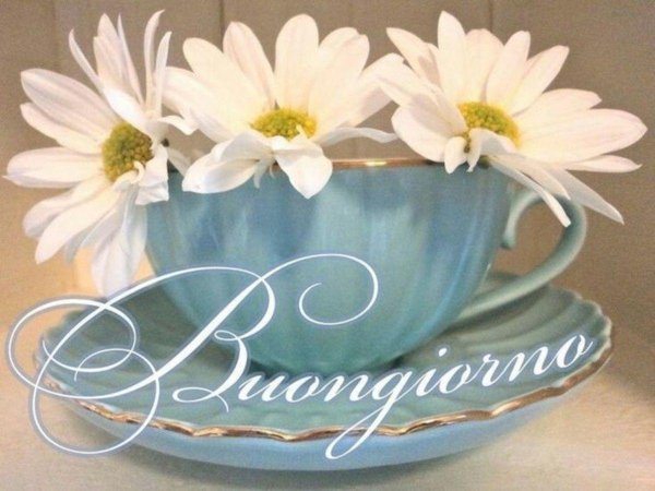 открытки buongiorno