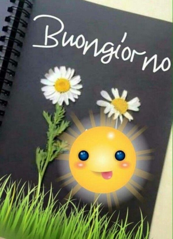buongiorno buonanotte