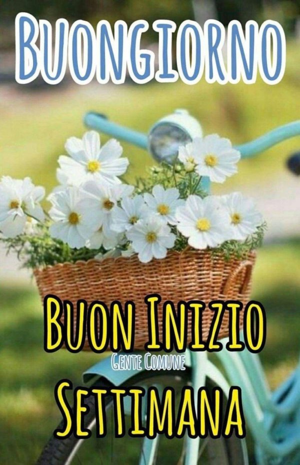 buona giornata