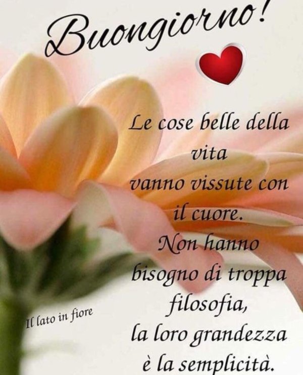 buona giornata открытки