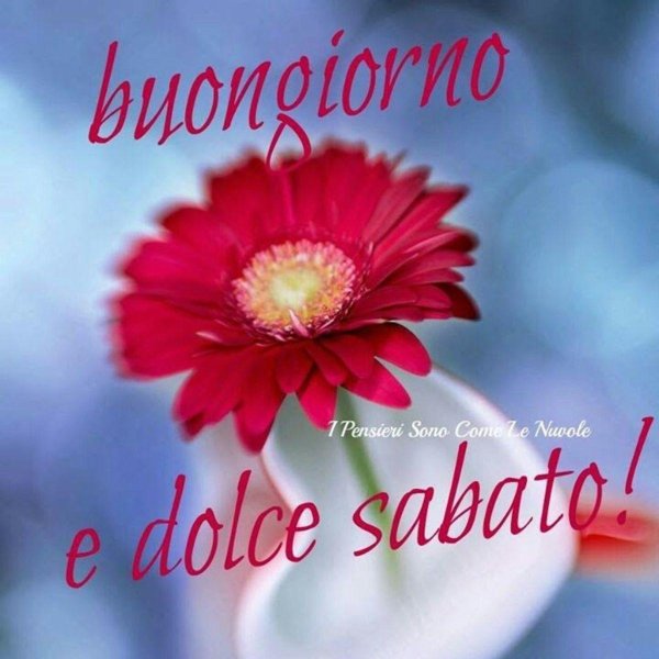 доброй субботы на итальянском