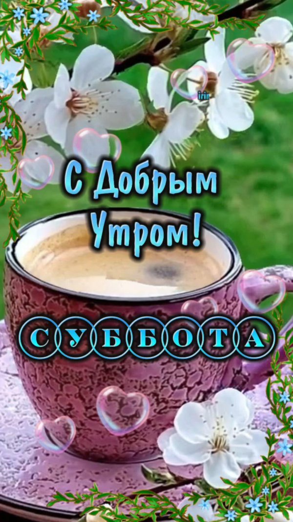 доброе утро суббота весна