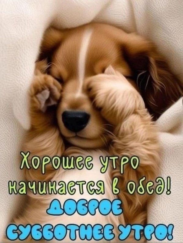 субботнее утро картинки красивые