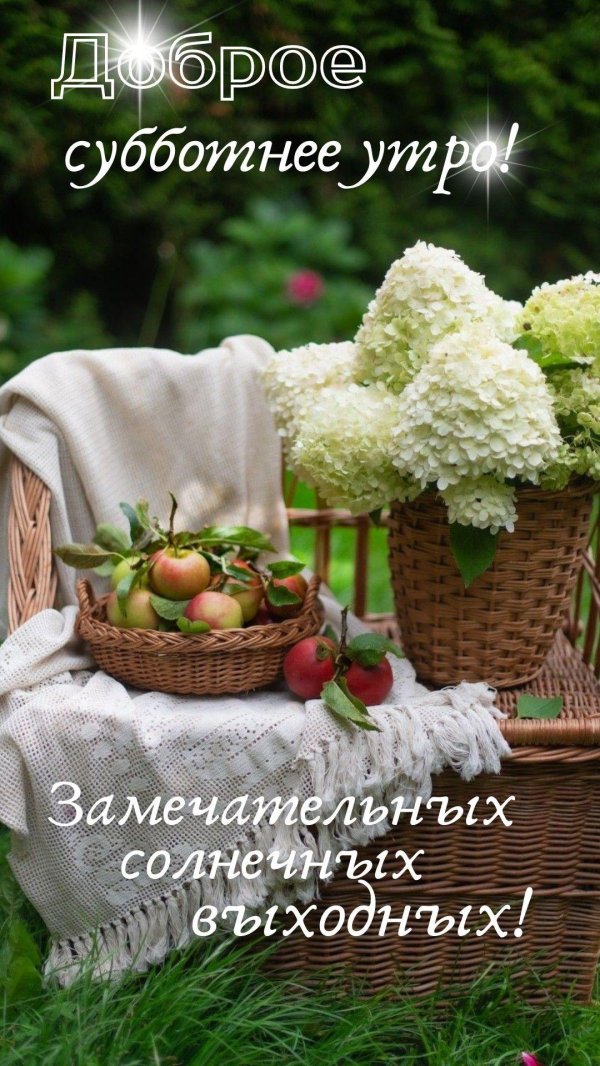 субботнего утра