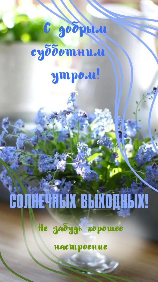 букет незабудки