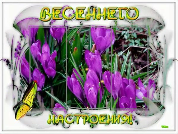 весенние настроение