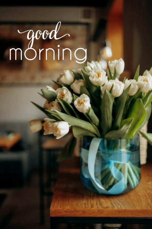 тюльпаны открытка