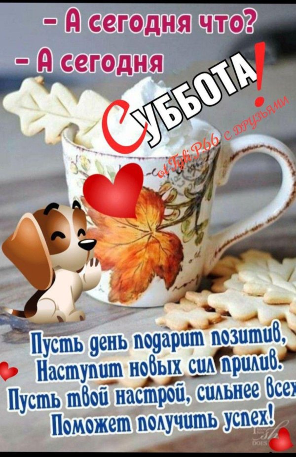 друг доброе утро