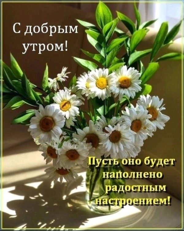доброго утра и замечательного дня