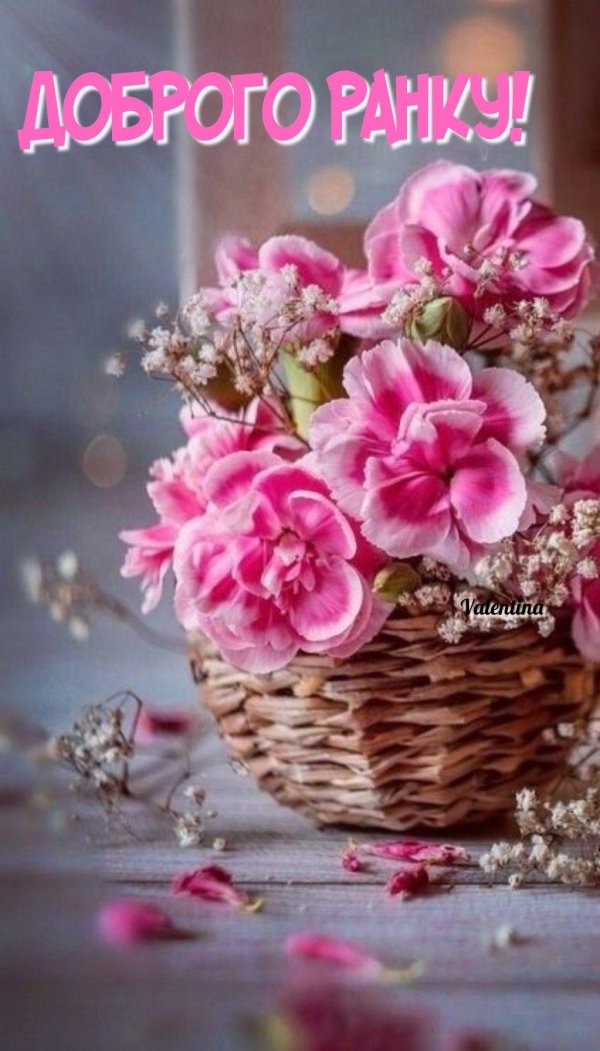 красивая цветок