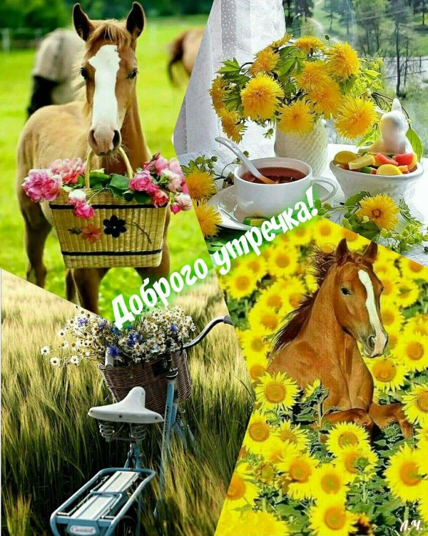 летнего утра