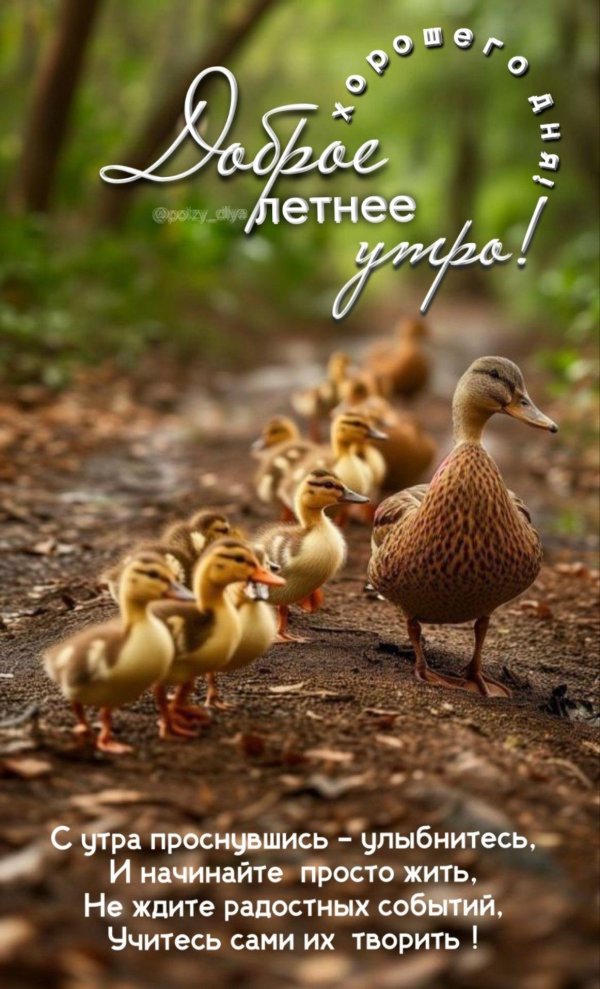 доброго утра летнего