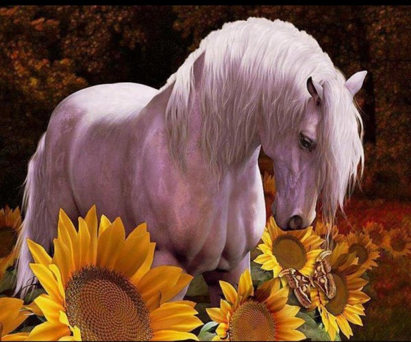 конь в цветах