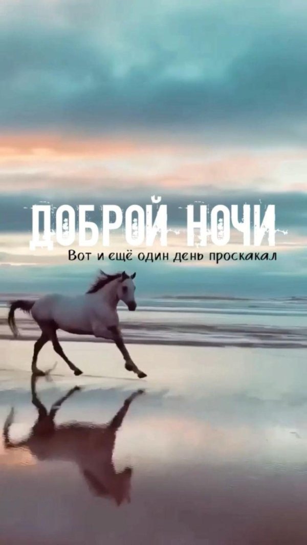добрая ночь