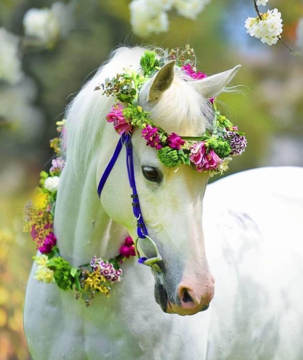 лошадка в венке