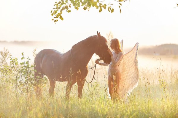 девушки с лошадьми