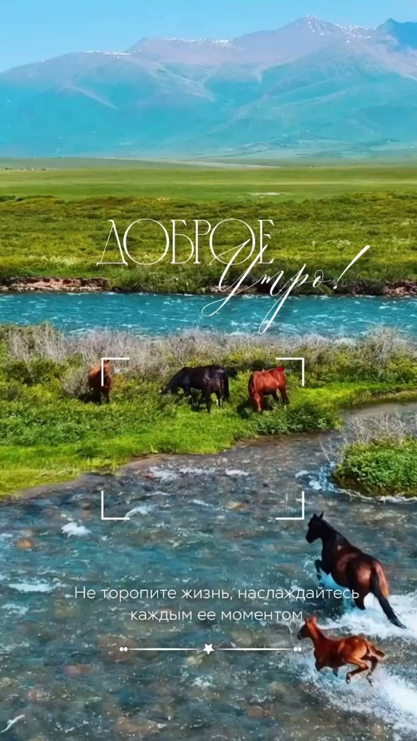 наслаждайся каждым моментом