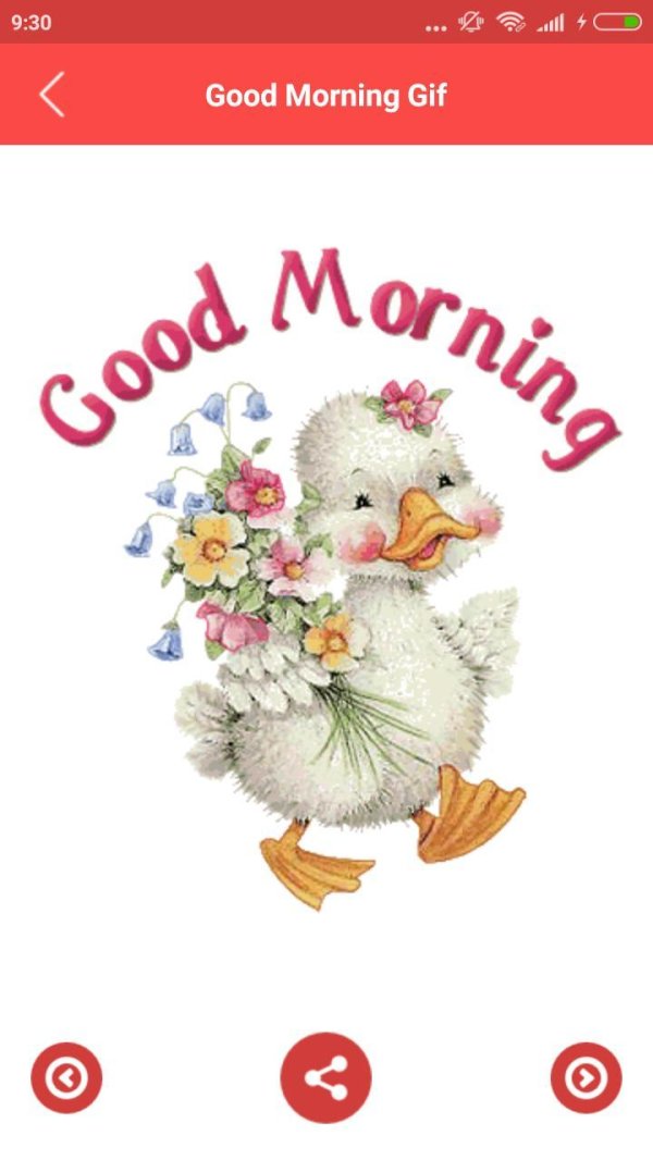 поздравительная открытка