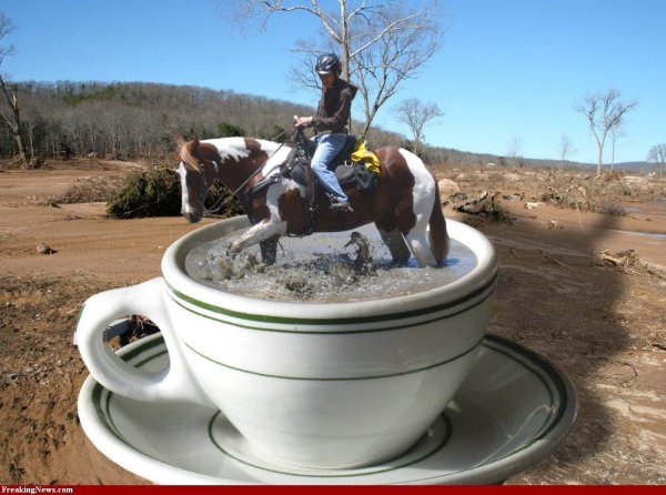 С лошадьми доброе утро