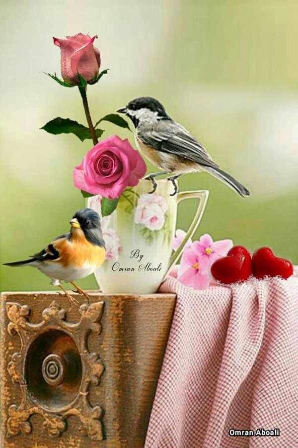 птичка на розе