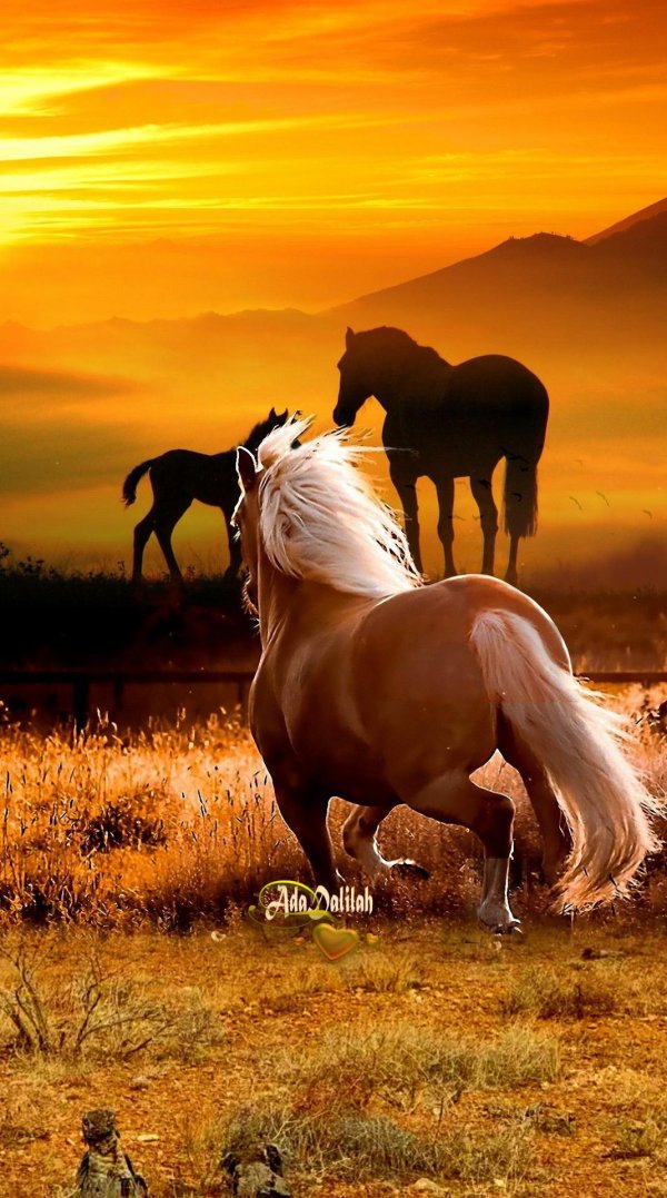 картины лошадей