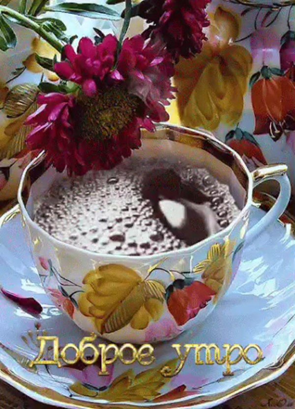 открытка с добрым утром удачного дня