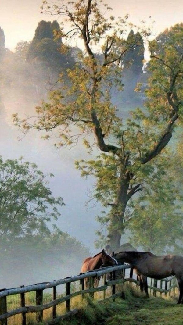 живописные пейзажи