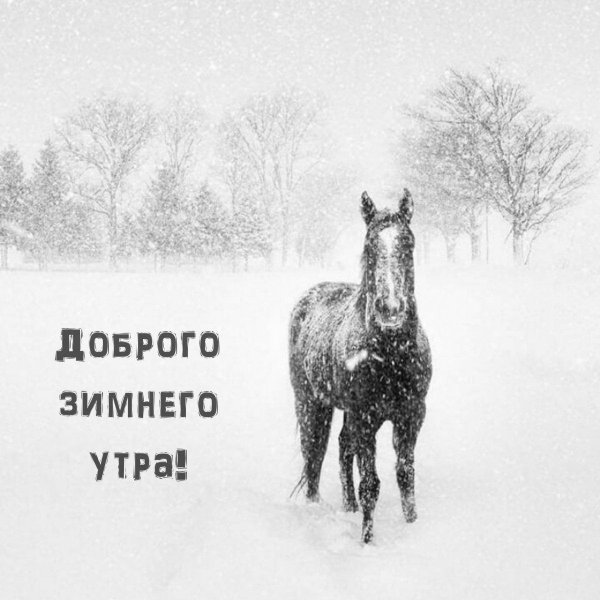 доброго утра зима