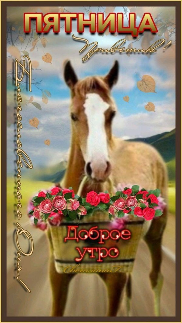доброе сентябрьское утро пятницы