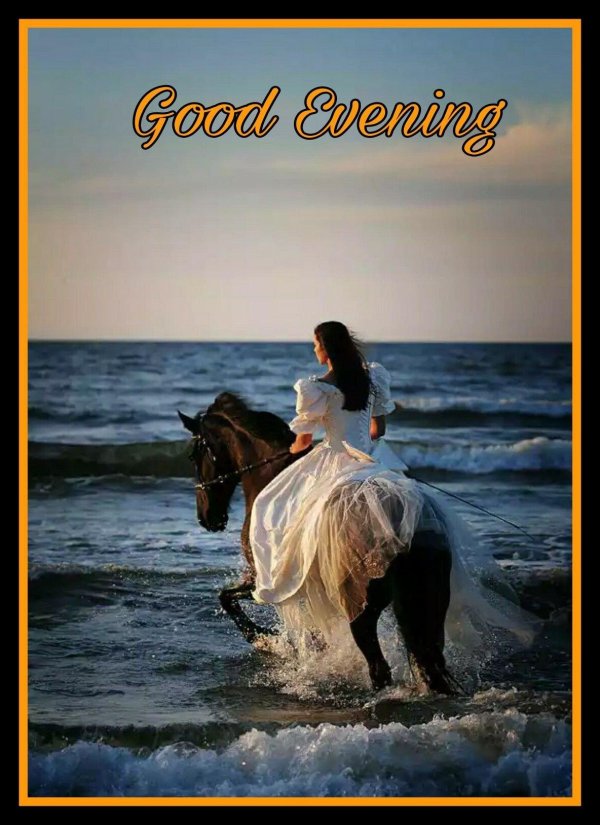 девушка на коне