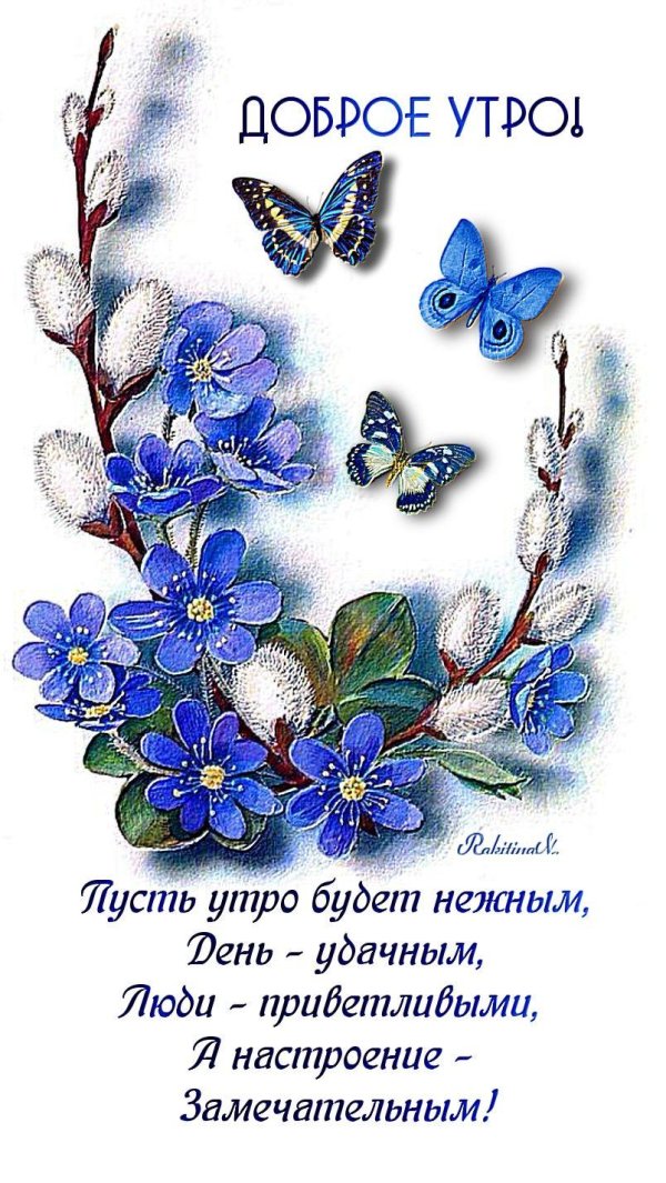 веточка вербы