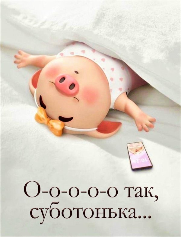 поросенок милый