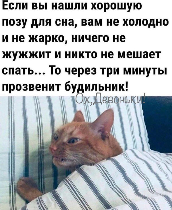 Доброе утро юмор