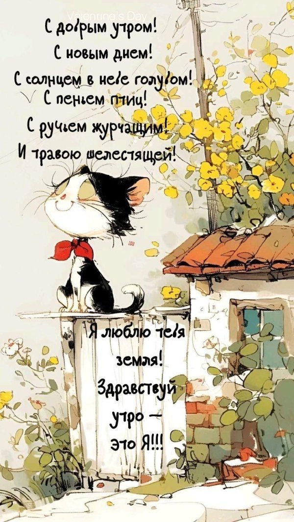 иллюстрация кот