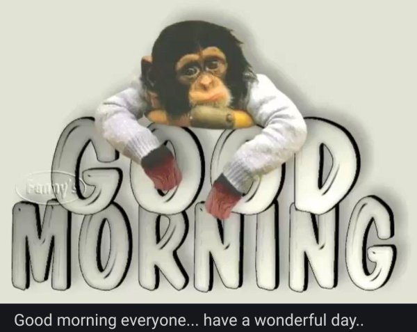 обезьянки на работе