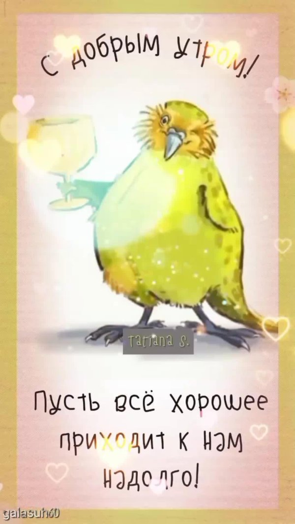 доброе утро юмор позитив