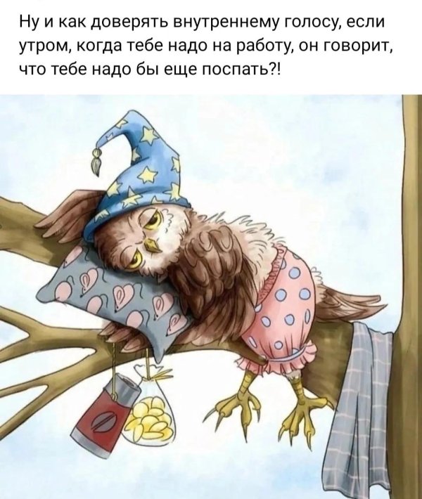 невыспавшаяся сова