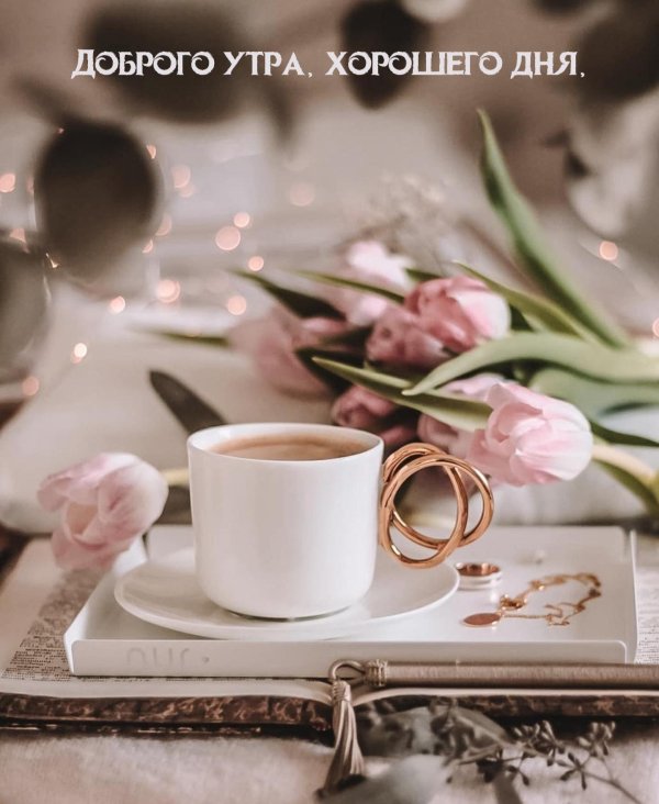 добра утра