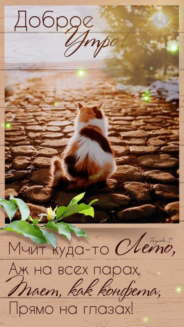 Доброе утро цитаты